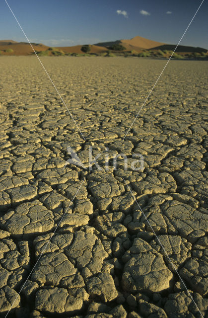 Namib naukluft national park