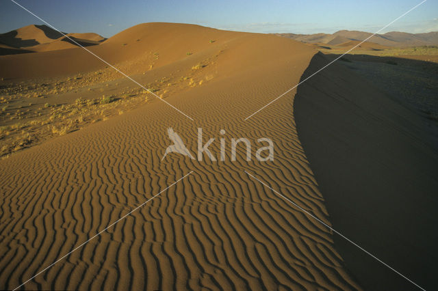 Namib naukluft national park