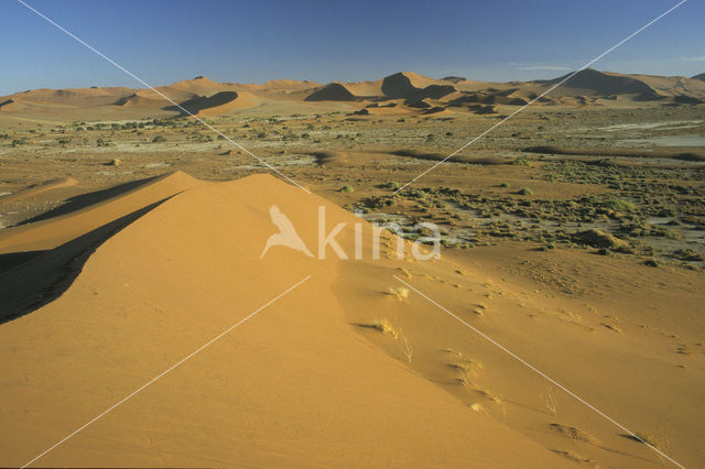 Namib naukluft national park