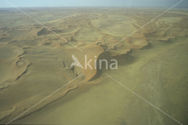 Namib naukluft national park