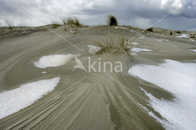 Nationaal Park Duinen van Texel