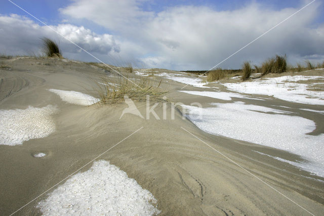 Nationaal Park Duinen van Texel