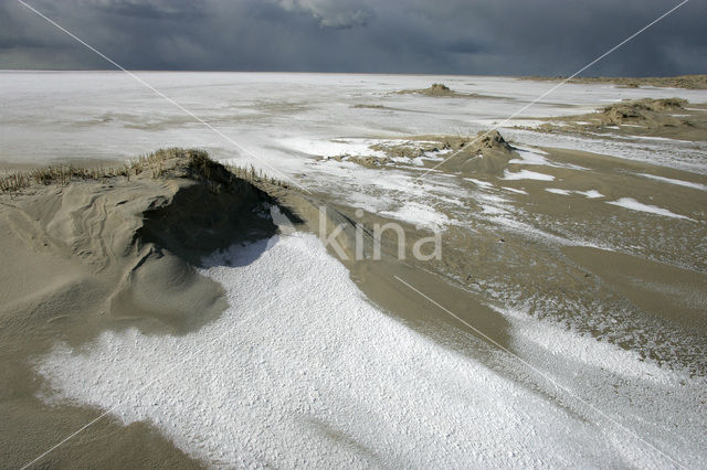 National Park Duinen van Texel