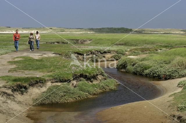 Nationaal Park Duinen van Texel