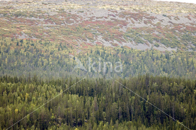 Nationaal Park Fulufjället
