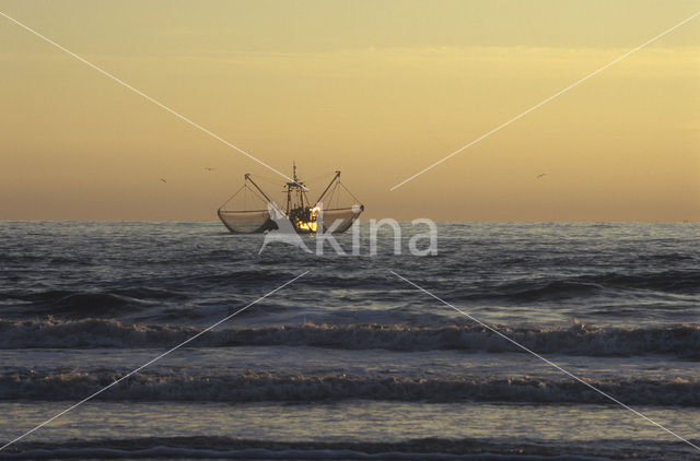 Noordzee