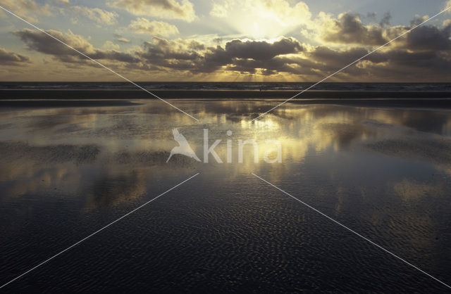 Noordzee