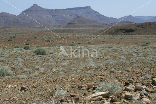 Palmwag Reserve