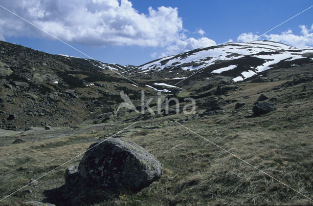 Sierra de Gredos