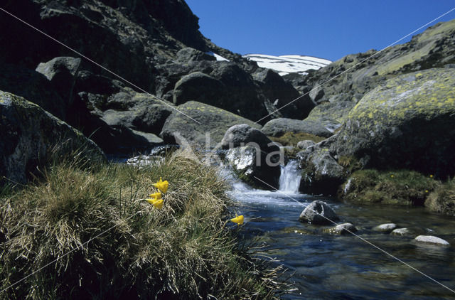 Sierra de Gredos