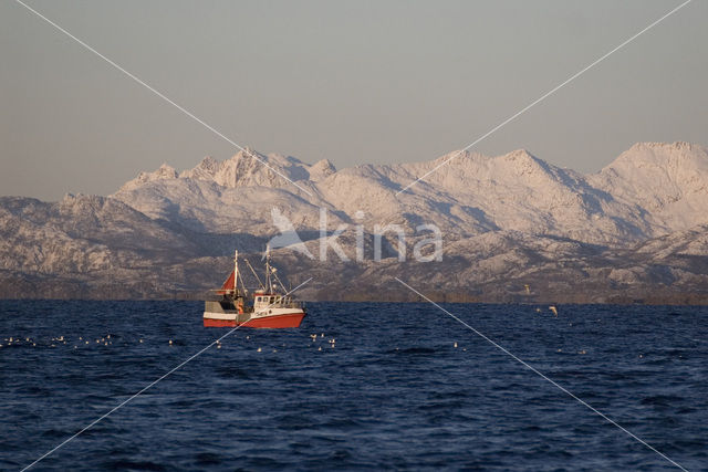 Tysfjord