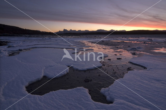 Tysfjord