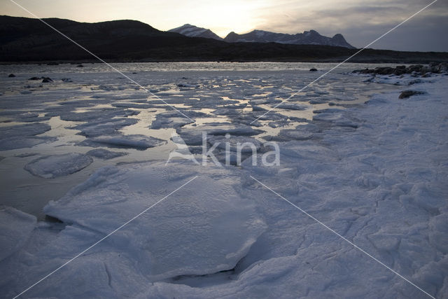 Tysfjord