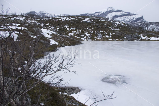 Tysfjord