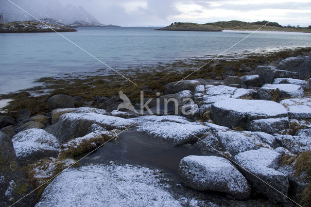 Vestfjord