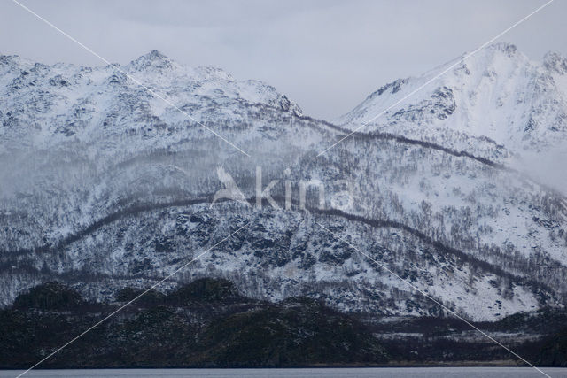 Vestfjord