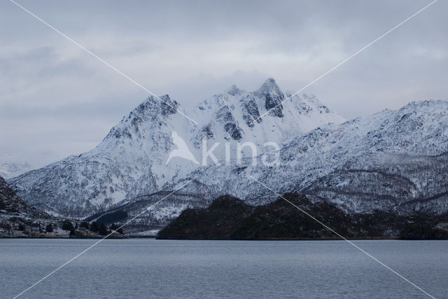 Vestfjord