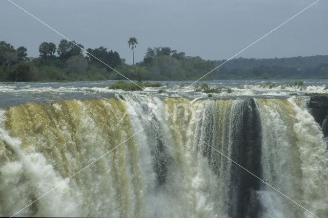 Victoria falls