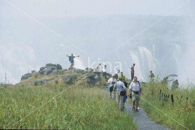 Victoria falls