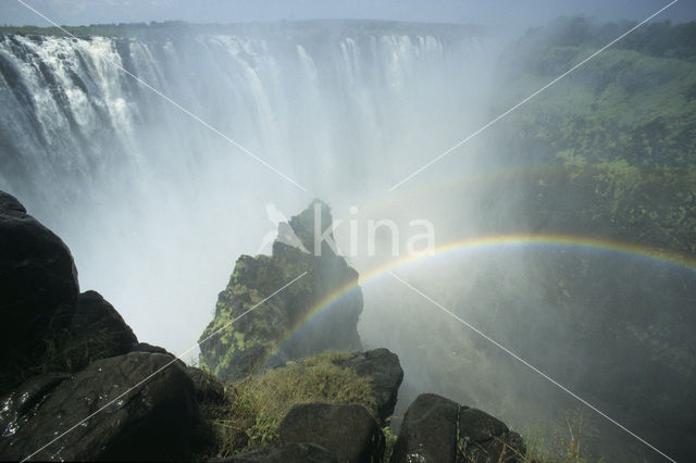 Victoria falls