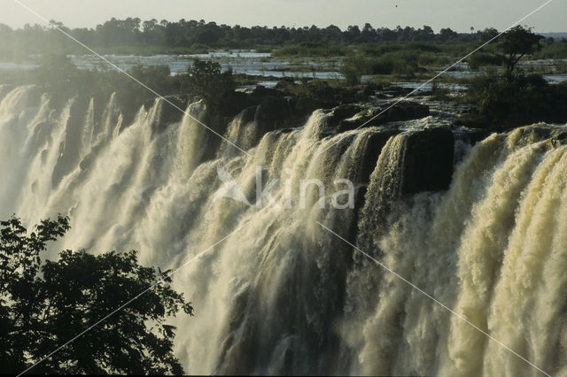 Victoria falls