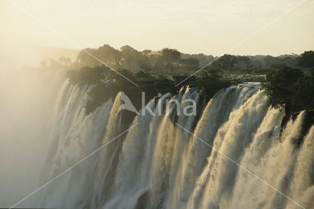 Victoria falls