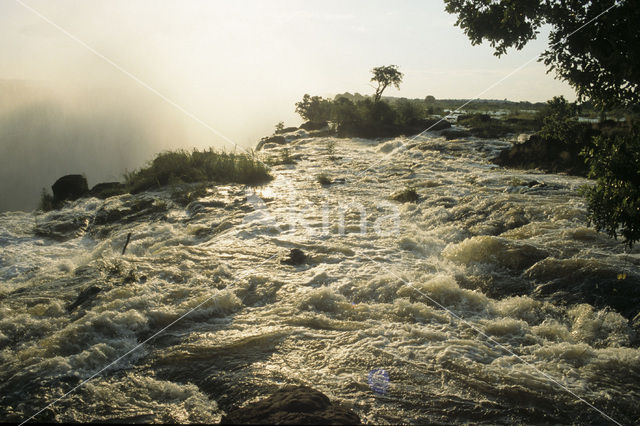 Victoria falls