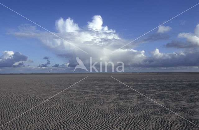 Waddenzee