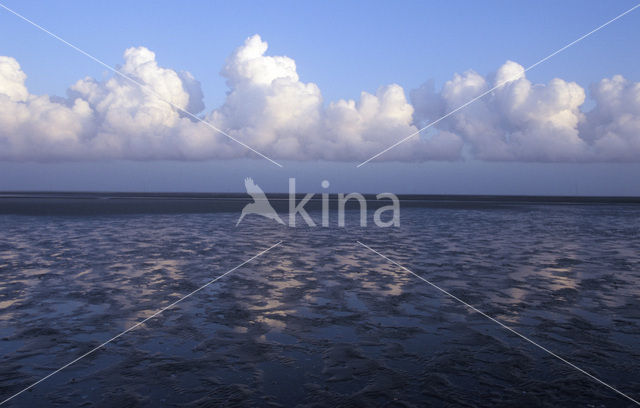 Waddenzee