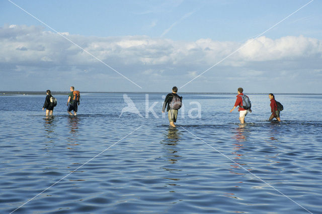 Waddenzee