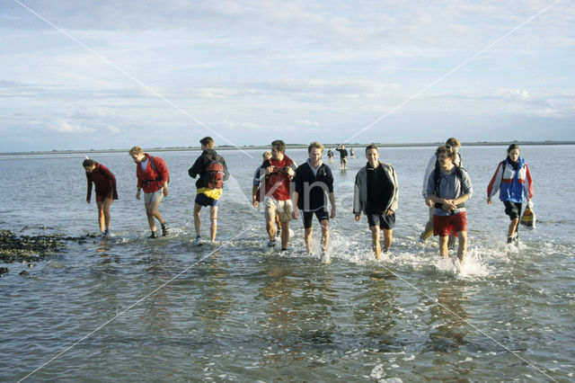 Waddensea