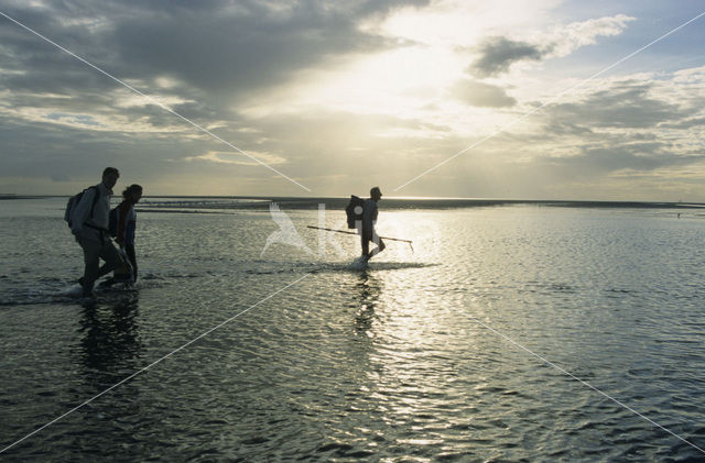 Waddensea