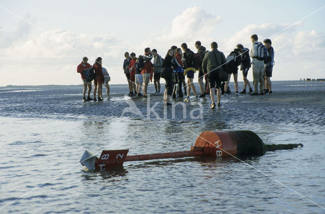 Waddenzee