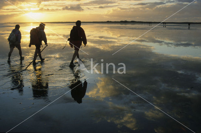 Waddenzee