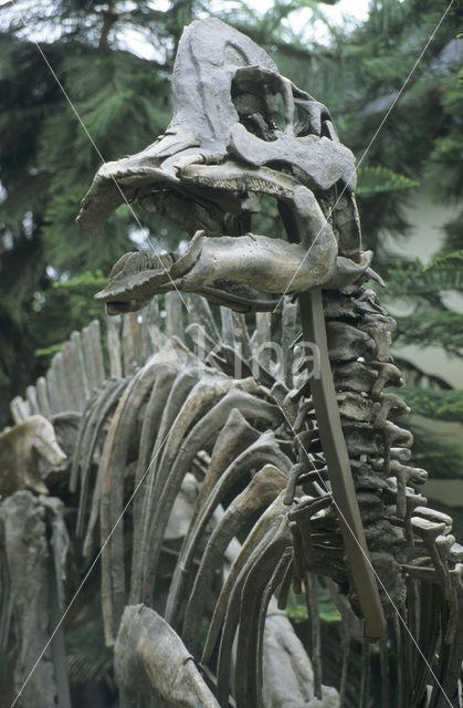 Dinosaur (Hypacrosaurus)