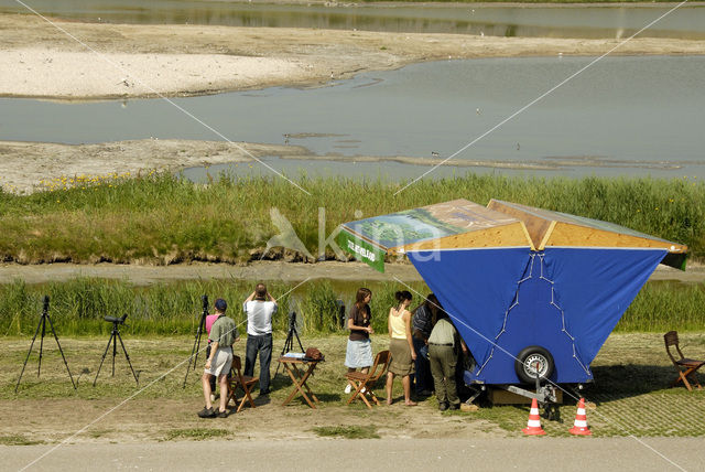 Lage land van Texel