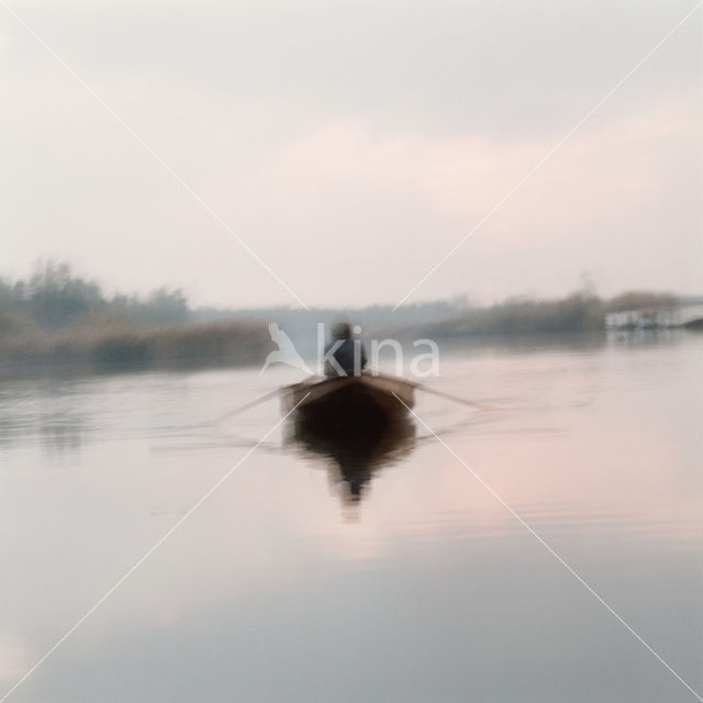 Nationaal Park de Biesbosch