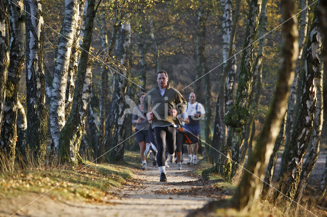 Nationaal Park Veluwezoom