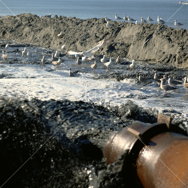 Northsea beach