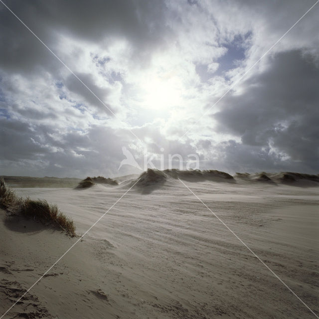 Terschelling