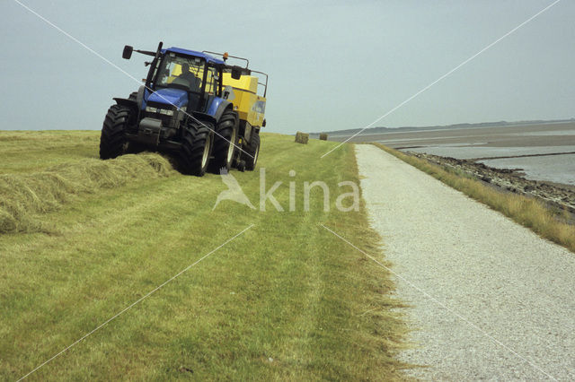 Terschelling