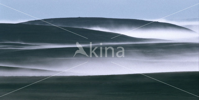 Varanger peninsula