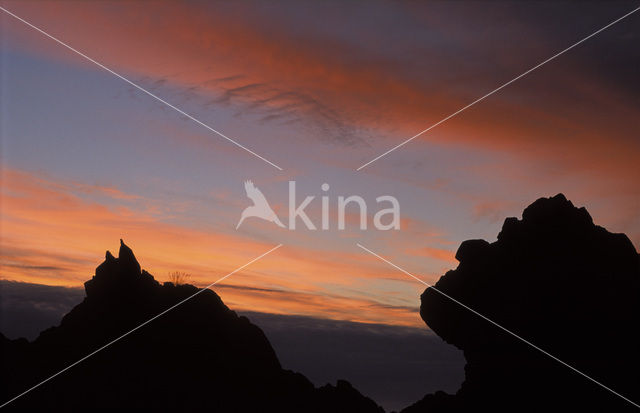 Varanger peninsula