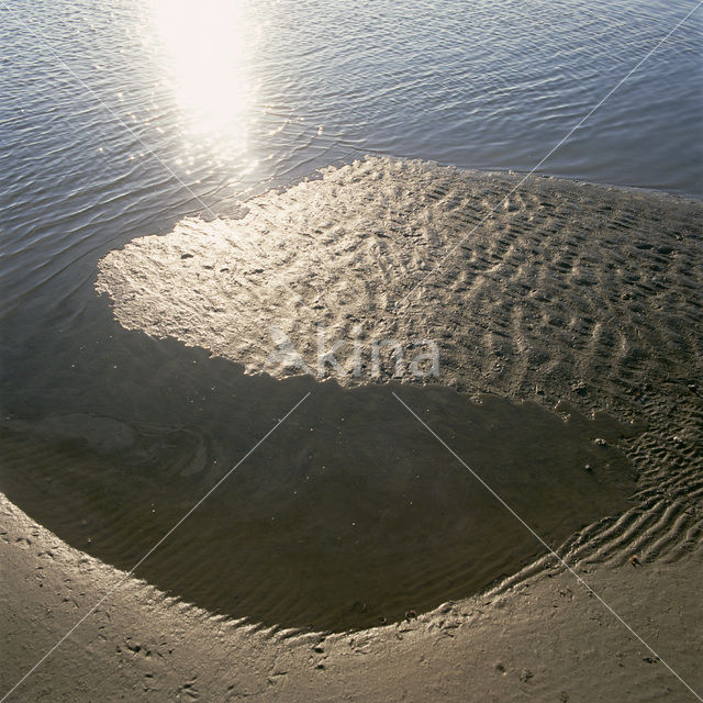Waddensea