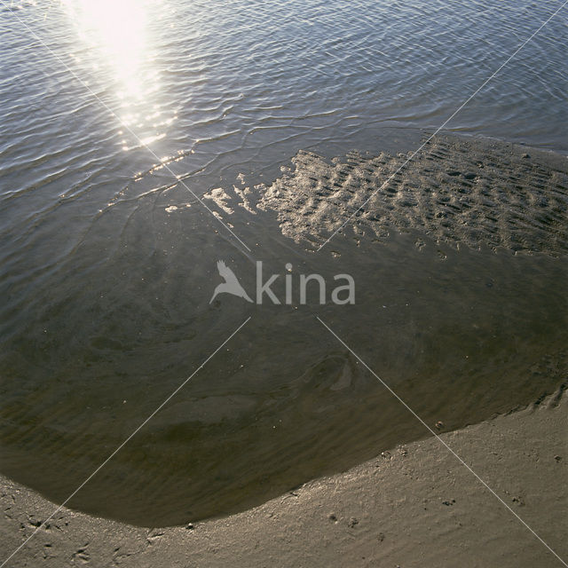 Waddensea