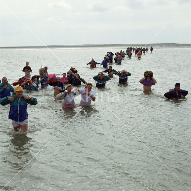 Waddenzee