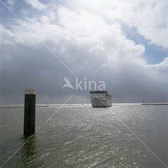 Waddensea