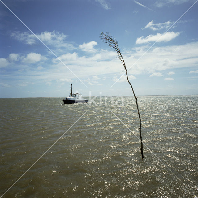 Waddenzee