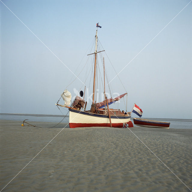 Waddensea