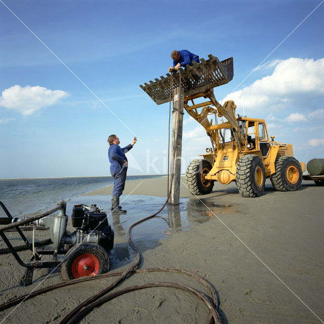 Waddensea